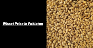 Wheat Price in Pakistan Today 2026 | Punjab Gandum Rate - 40 KG Updated ...